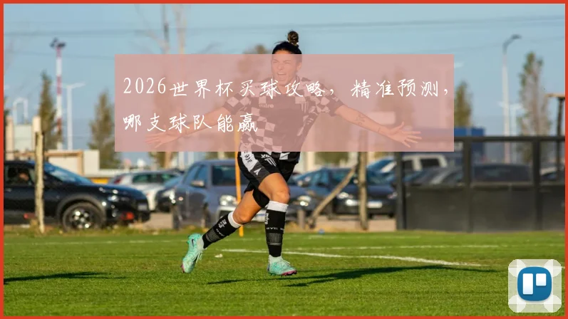 2026世界杯买球攻略，精准预测，哪支球队能赢
