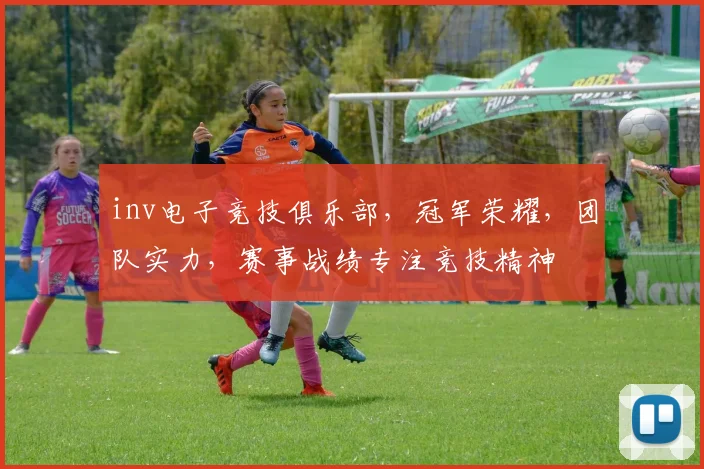 inv电子竞技俱乐部，冠军荣耀，团队实力，赛事战绩专注竞技精神