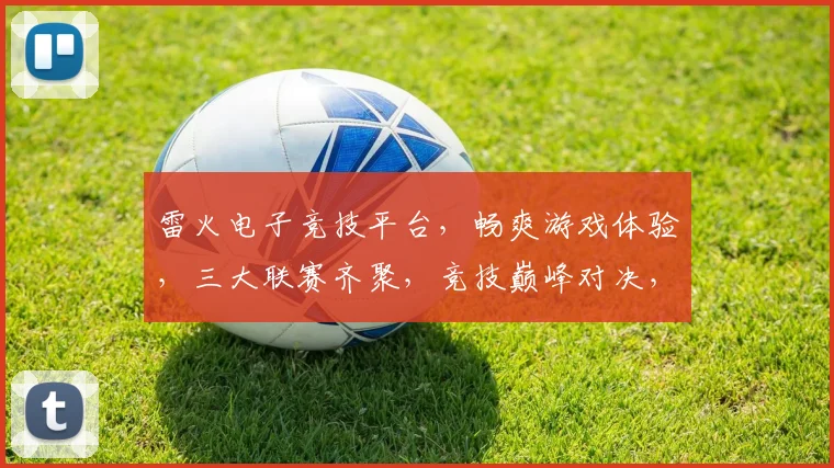 雷火电子竞技平台，畅爽游戏体验，三大联赛齐聚，竞技巅峰对决，邀您共赏