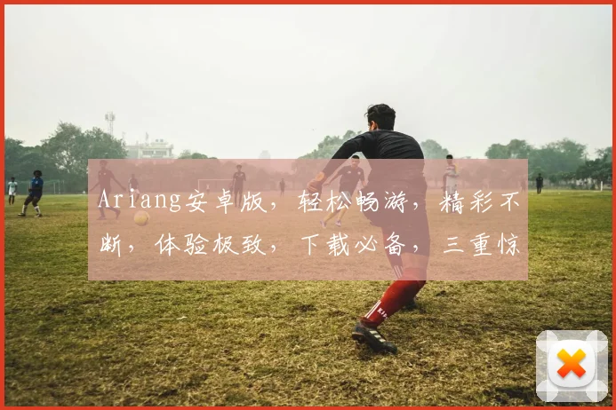 Ariang安卓版，轻松畅游，精彩不断，体验极致，下载必备，三重惊喜等你来