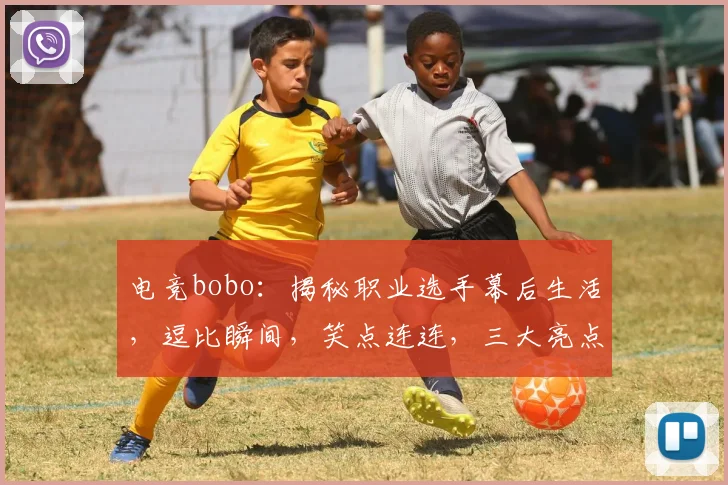 电竞bobo：揭秘职业选手幕后生活，逗比瞬间，笑点连连，三大亮点不容错过